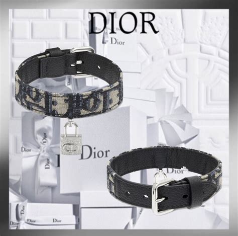 dior hond|dior dog accessories.